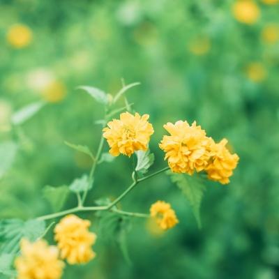 凌天传奇盛大版本(暂未上线)v1.1.6 安卓官方版